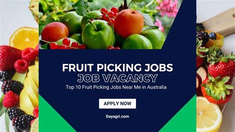 10 Highest Paying Fruit Picking Jobs In Australia 2023 Youtube