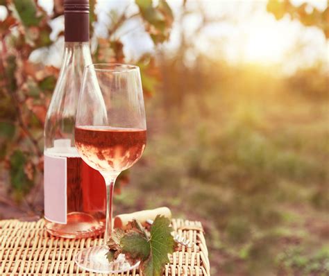 Rose Wine Facts Health Benefits And Nutritional Value