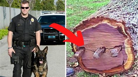 Ex Police Dog Keeps Barking At Tree Dad Finds A Lot More Than Wood