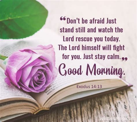 Good Morning Bible Verses And Quotes Wishesmsg