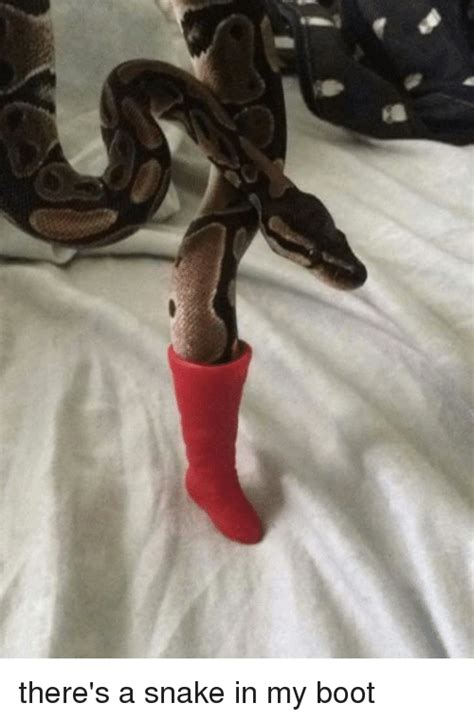 25 Best Memes About Theres A Snake In My Boot Theres A Snake In My