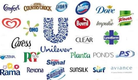 So some unilever brands extend across product form. Unilever Announces it Will Spend $1 Billion To Rid its ...