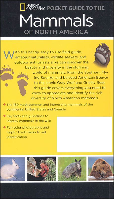 Pocket Guide To The Mammals Of North America National Geographic