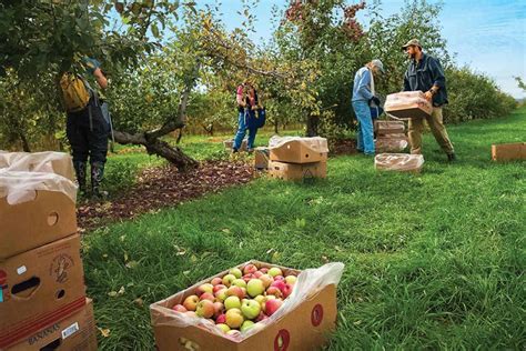 Yoga studio in brattleboro , vt. SoVTYPs Food Rescue: Apple Gleaning for VT Foodbank ...