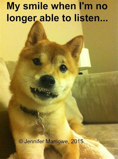 Download Awkward Smiling Dog Meme Png And  Base