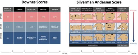 Scoring Systems For Respiratory Distress Syndrome Downes And Silverman