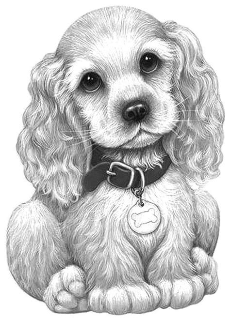 Puppy Schattige Dieren Schattige Kleurplaten