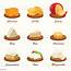 Different Kinds Of Cheese On Cutting Board Vector Illustration Stock 
