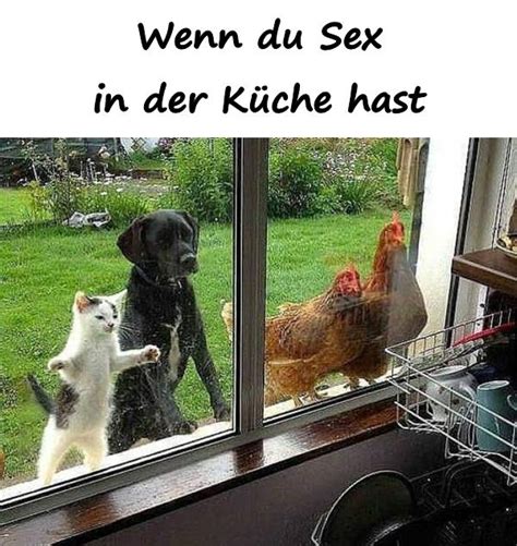 Beste Lustige Alkoholismus Sucht Meme Lustige Bilder Humor