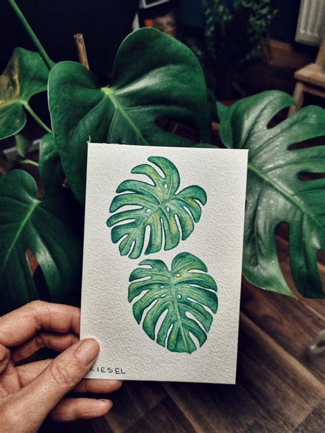 Monstera Deliciosa Leaves 🌿 Watercolor Monstera Deliciosa