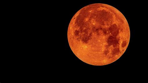 Conoce los beneficios que aporta el zapallo a la salud: Así estuvo el eclipse más largo del siglo en el mundo | El ...