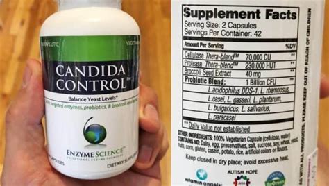 Best Probiotics For Candida Albicans Overgrowth Per Studies Superfoodly