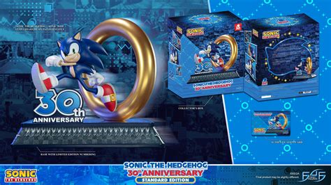 Sonic The Hedgehog 30th Anniversary Standard Products