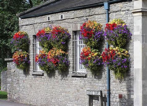Unbranded flower & plant wall baskets boxes. Outdoor Hanging Flower Baskets and Pots - A Guide to Planting