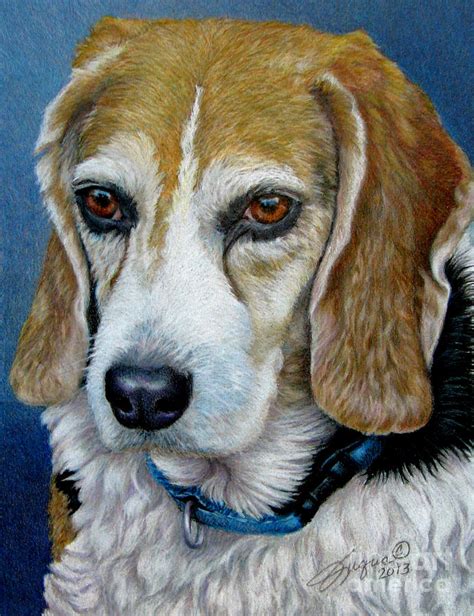 Beagle Colored Pencil Drawing By Beverly Fuqua Pixels