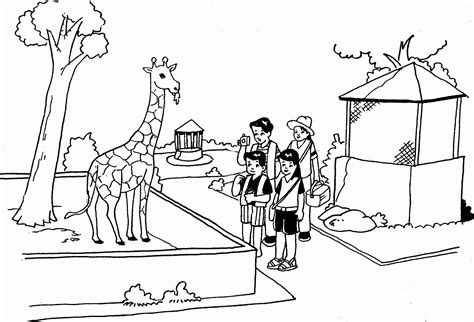 Sketsa Gambar Pemandangan Kebun Binatang Animasi Anak Imagesee