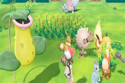 This guide will tell you where to find eevee in pokemon let's go pikachu so you can get the starting pokemon from the other version of pokemon let's go, into your party alongside pikachu and your other pokemon. Así luce el tráiler del Go Park en Pokémon Let's GO Eevee ...
