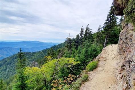 Best Hikes In Great Smoky Mountains National Park The Best Of Hiking In The Smoky Mountains