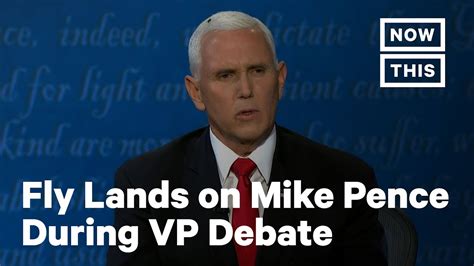 fly lands on mike pence s head during vp debate nowthis youtube