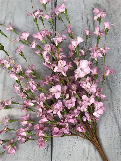Pink Wax Flower Bush Keleas Florals