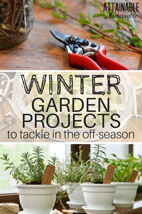 Winter Gardening Tips Cold Weather Garden Projects To Tackle During