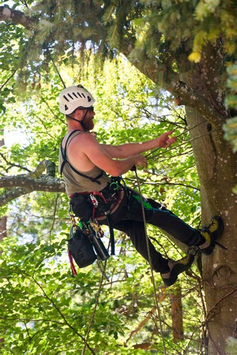 10 Best Tree Climbing Boots 2023 Airstreams Boas Andrews