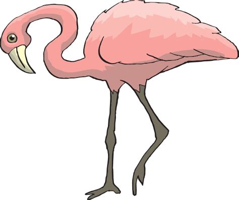 Free Flamingo Cartoon Images Download Free Flamingo Cartoon Images Png