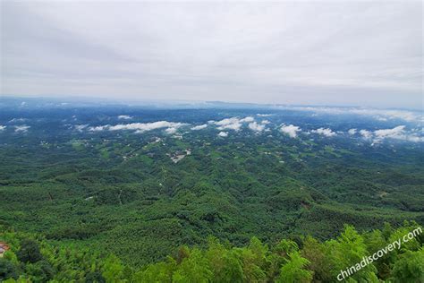 Shunan Bamboo Forest Shunan Bamboo Sea Shunan Zhuhai