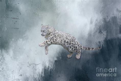 Jumping Snow Leopard One Mixed Media By Elisabeth Lucas Fine Art America