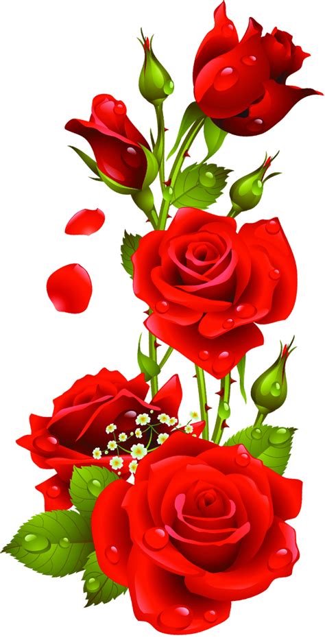 Red Roses Vector Kyrmyzy Gul Png Resimler Png Kyrmyzy Gul Clip Art Library Rose Flower