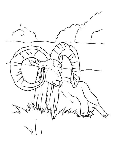Ram coloring pages