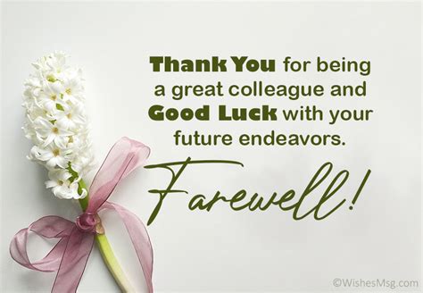 100 Farewell Messages For Colleagues And Coworkers 2023