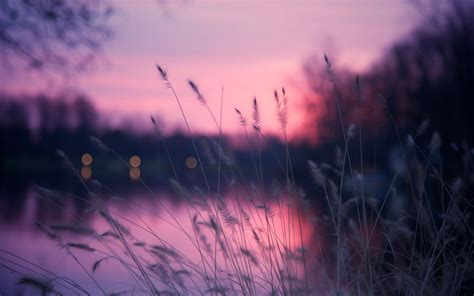 Mit ios 15 bekommst du vier neue wallpaper spendiert, die jeweils wieder in hell. beautiful wallpapers - Google Search | Desktop hintergrund ...