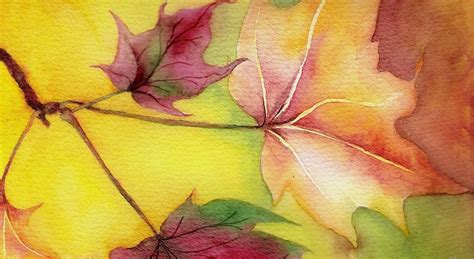 Watercolor Artist Fall Leaves Study Watercolor