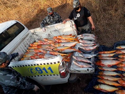Pesca Ilegal La Policía Secuestró Cerca De 200 Kilos De Pescados