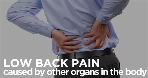 Think back to last halloween for a minute. The Causes of Low Back Pain and What To Do About It