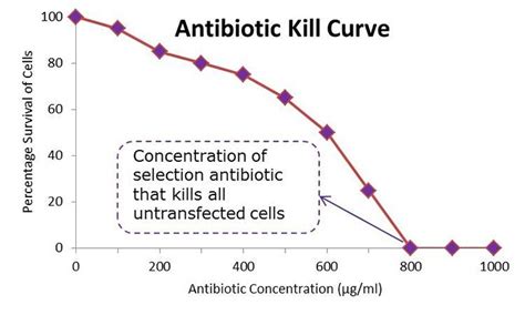 Antibiotic Kill Curve