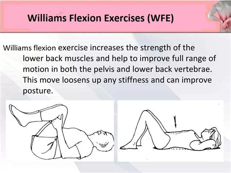 Williams Flexion Exercise Wfe For Low Back Pain