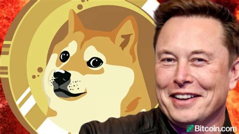 And the same goes for bitcoin—when musk added the bitcoin hashtag to his twitter bio, the market pumped nearly 20%. Elon Musk Wants Coinbase to List Dogecoin as the ...
