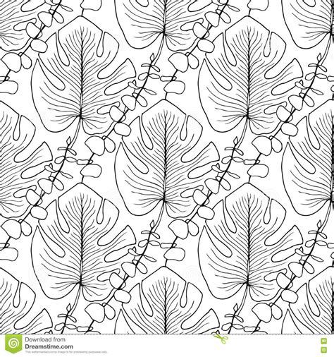 Tropical Leaves Coloring Pages Coloring Pages