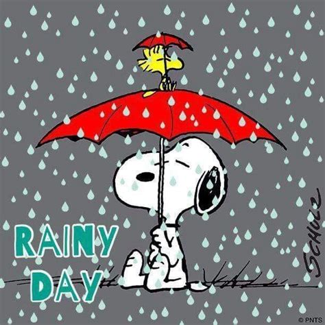 Effektive Bilder wir über Regen in 2020 Snoopy bilder