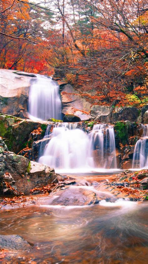 Waterfalls On Rocks Between Orange Yellow Leafed Trees Forest