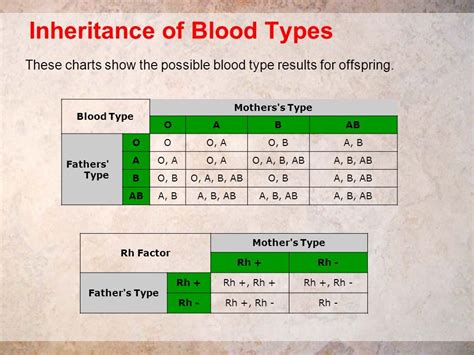 Punnett Square Blood Type Chart Parents Blood Type Ar Vrogue Co
