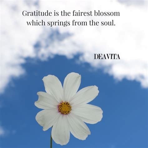 Gratitude Quotes And Inspirational Sayings About Being Thankful