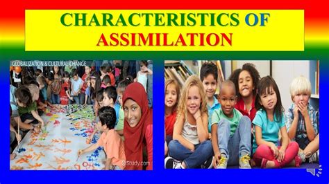 Characteristics Of Assimilation Sociology Youtube