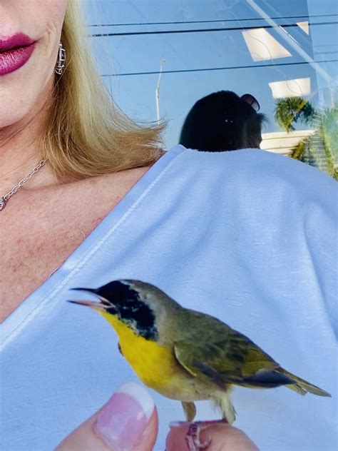 The Sexy Swinger Miami On Twitter Rescued This Little One Yesterday