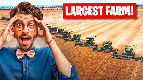 The Largest Farms In The World That Will Shock You Youtube