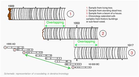 It is good for dating for the last 50,000 years to about 400 years ago and can create chronologies for areas that previously lacked calendars. Dendrochronology, a.k.a. Tree Ring Dating - Museum of ...