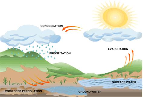 Acid rain, or acid deposition, is a broad term that includes any form of precipitation with acidic components, such as sulfuric or nitric acid that fall to the ground from the atmosphere in wet or dry forms. Fun Rain Facts for Kids