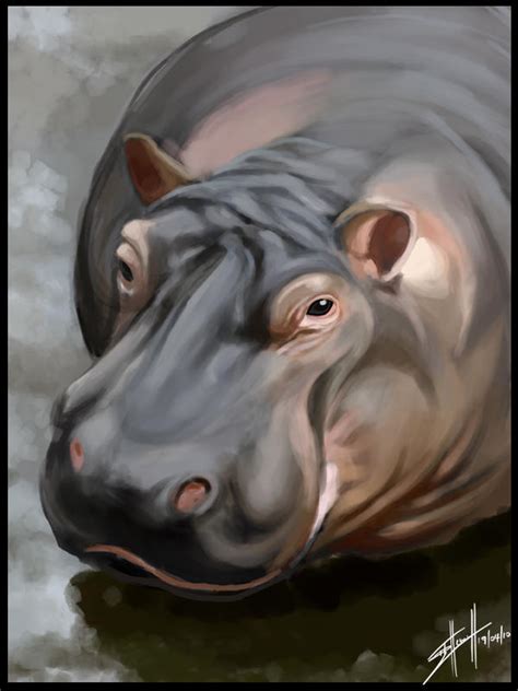 Hippo Speed Paint By Ninjacheese On Deviantart